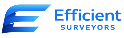 Dynamic Effecientsurveyors Services Website